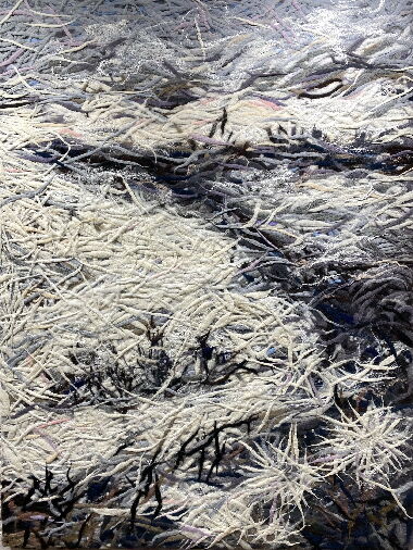 Черний Черемош