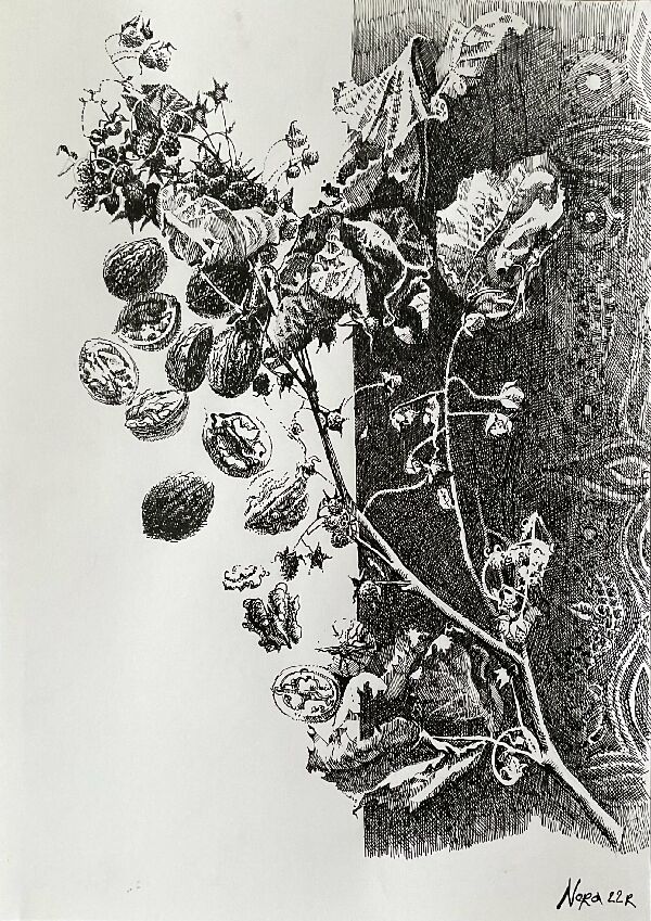 Зимние витамины