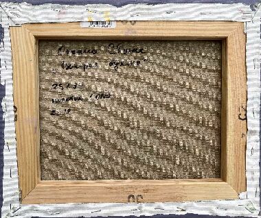 Вечірня бухта