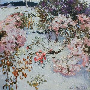 Под покровом белым