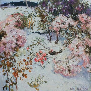 Под покровом белым