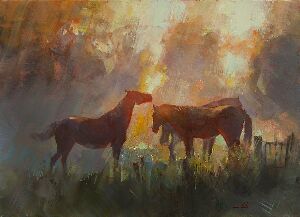 Чарівні тіні