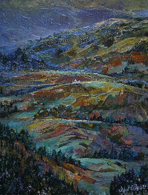 Верховинские Плаи