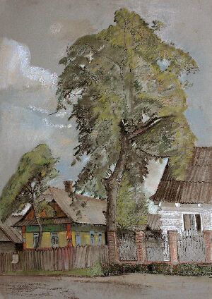 Старая груша