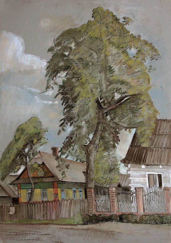 Старая груша