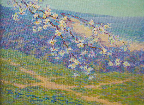 Одесская сакура