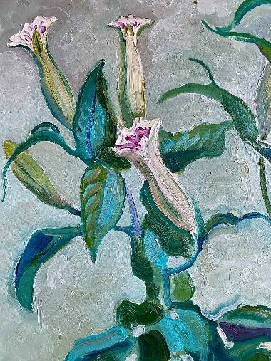 Лілії королеви