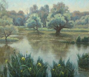 Дунайские плавни