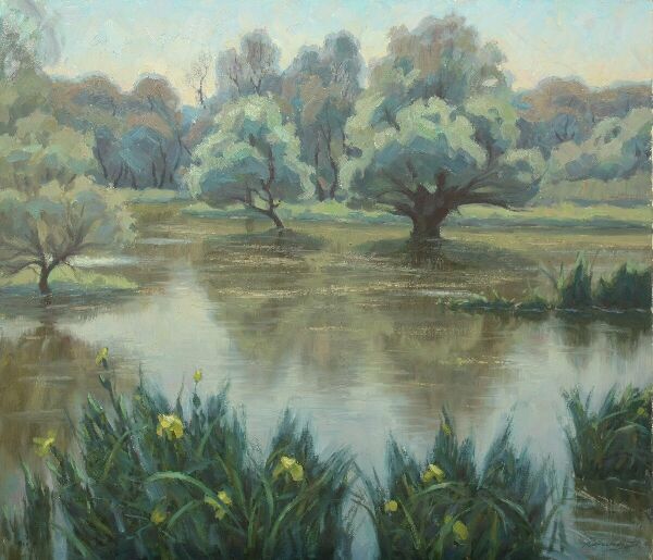 Дунайские плавни