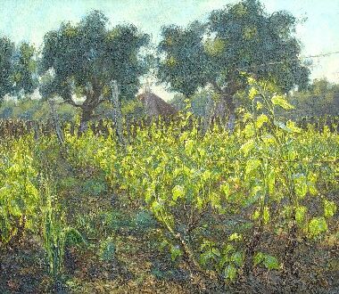 Молодые побеги