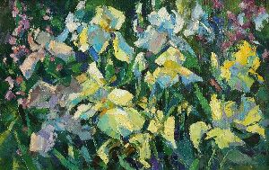 Цвітіння ірисів