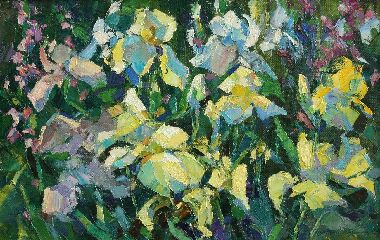 Цветение ирисов