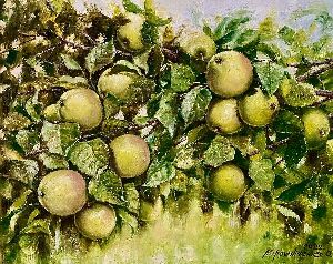 Яблоневая ветка