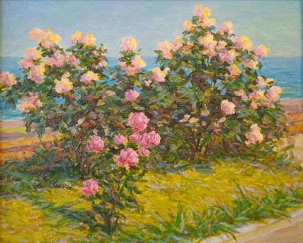 Розы у моря