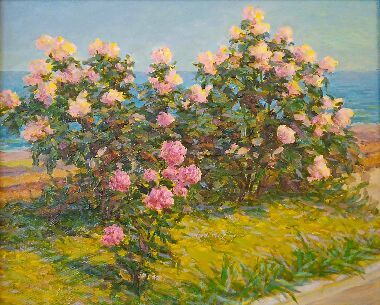 Розы у моря