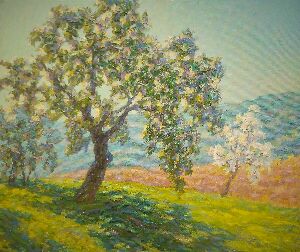 Старая груша