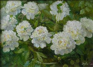 Белые пионы