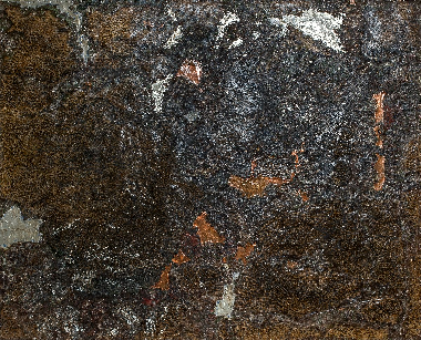 Середовище існування 2