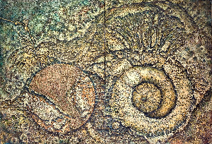 Finding archetypes 6