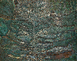 Дерево пізнання