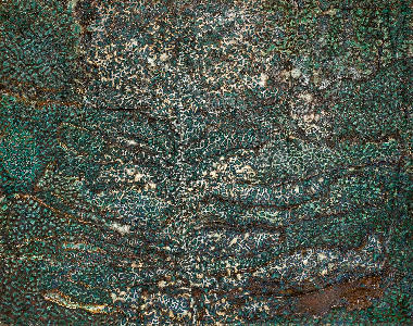 Древо познания