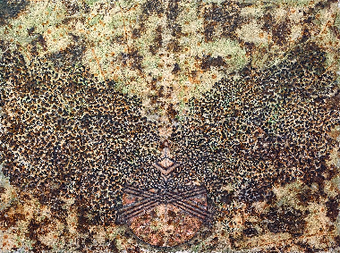 Умовна рівновага