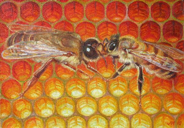 Пчелка и трутик