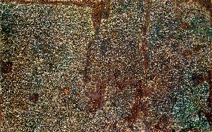 The territory of guesswork 9