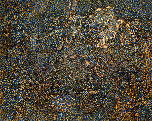 The territory of guesswork 6