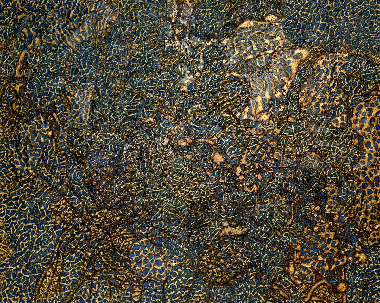 Территория догадок 6