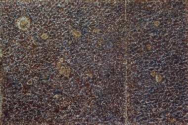 Территория догадок 4