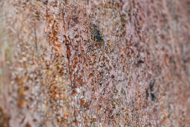 In search of the Absolute