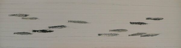 Моря. Белое море