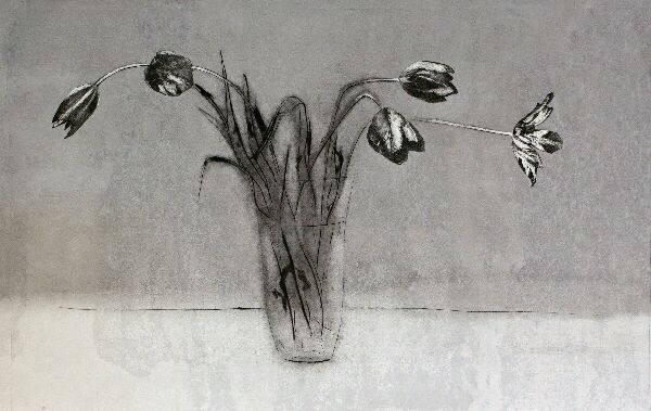 Цветы, Тюльпаны1