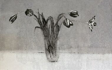 Цветы, Тюльпаны1