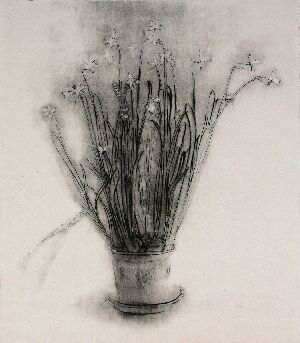 Квіти. Нарциси