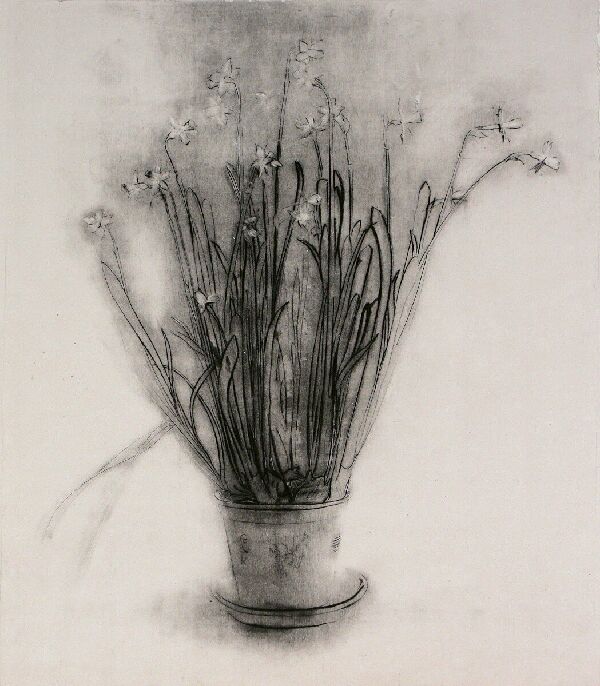 Цветы. Нарциссы