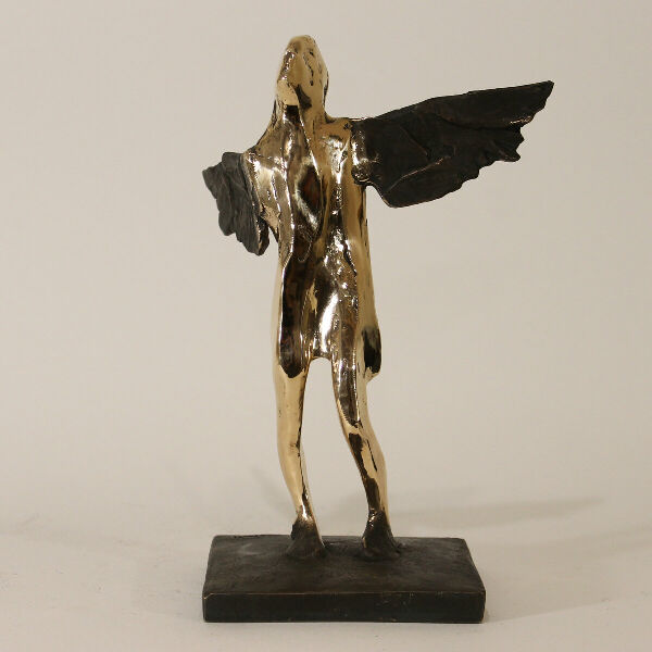 Alatus. A winged dreamer. "avis alis"