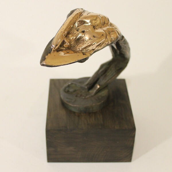 Icarus. Dreams burned by the sun