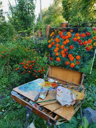 Самые дорогие цветы