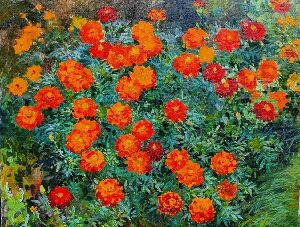 Самые дорогие цветы