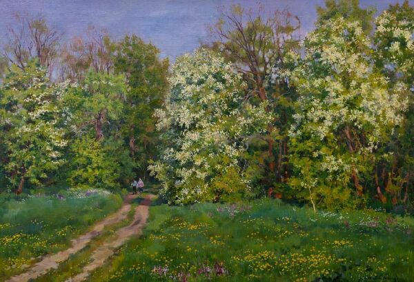 Черемха цвіте.