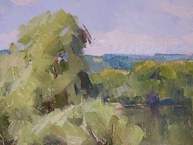 Полдень над Днестром