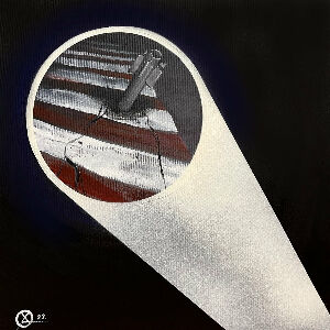 Життя як зебра