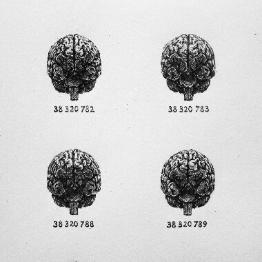 Статистика (Один из многих)