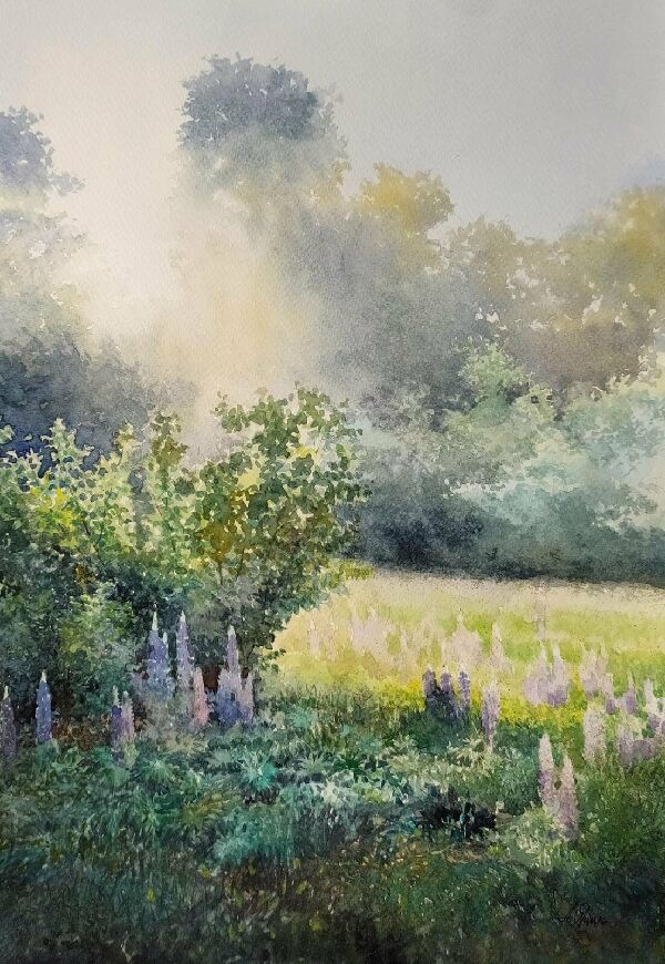 Вечірні промені