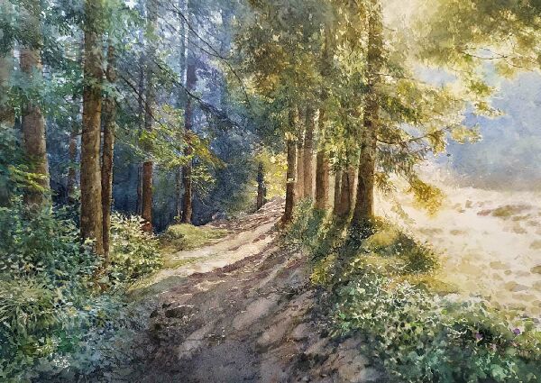 Лісова стежка