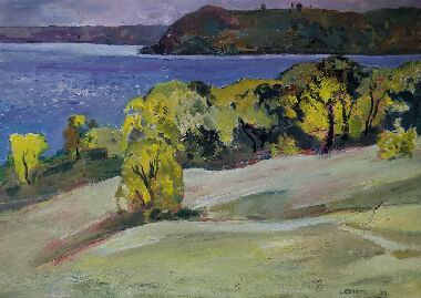 Зимняя река