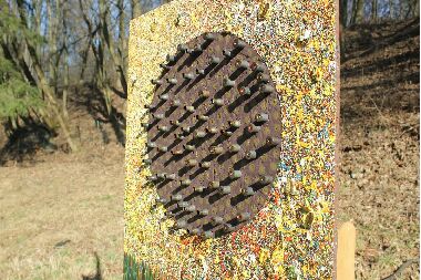 Подсолнухи. № 6