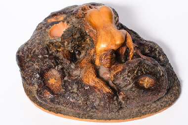 Шостий день